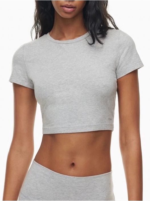 Aritziatna Hold-It Light Grey Crop Crewneck Tee Stretch Jersey Soft Feel